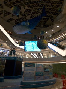 易车湖南车友会 驶入星城文创潮流，探索长沙城市新脉动