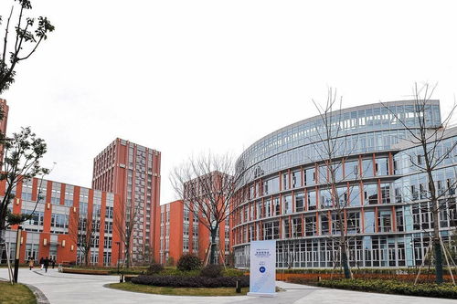 创意无疆界 上海交大与南加州大学合作下的长沙文创产业新图景